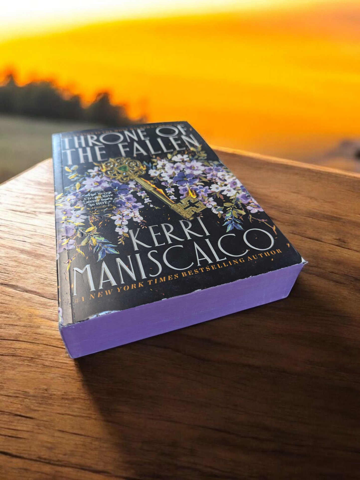 Throne Of The Fallen Special Edition Paperback